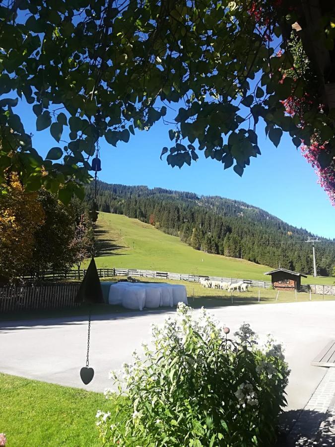 Hotel Walchauhof Flachau Exterior foto