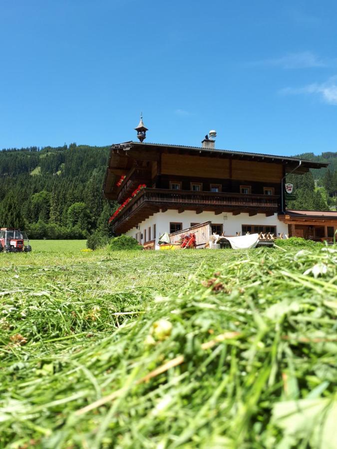 Hotel Walchauhof Flachau Exterior foto